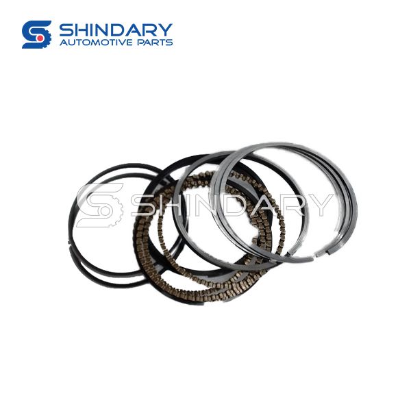 Piston ring kit EQ465i1.1004030 0,25 for DFSK K01